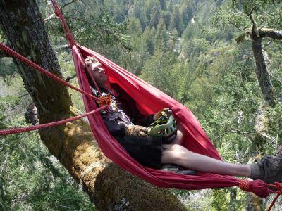 A young man smiles and relaxes in a hammock, suspended between a reiterated trunk. He is attached to a rope, and his helmet is off. The tree overlooks a forested valley.