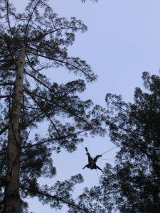 A figure is suspended on ropes between two trees, they are hanging upside down and silhoutted against the sky.